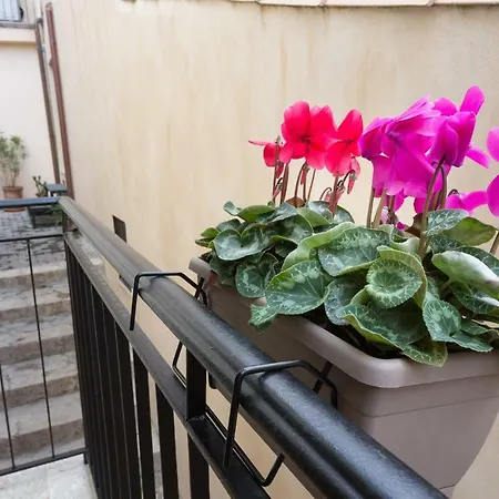 Pura Vida Iblea Guest house Ragusa